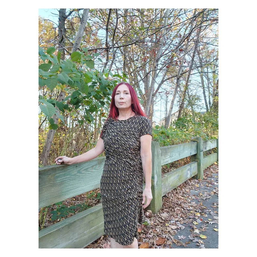 ISABEL MARANT Etoile 100% Silk Ruched Leopard Print Dress - Picture 2 of 13